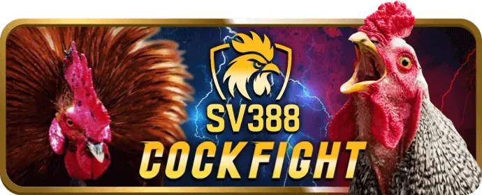 Đá Gà Thomo appzx88